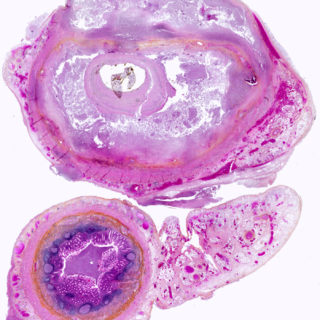 Houston Cancer Treatment Centers