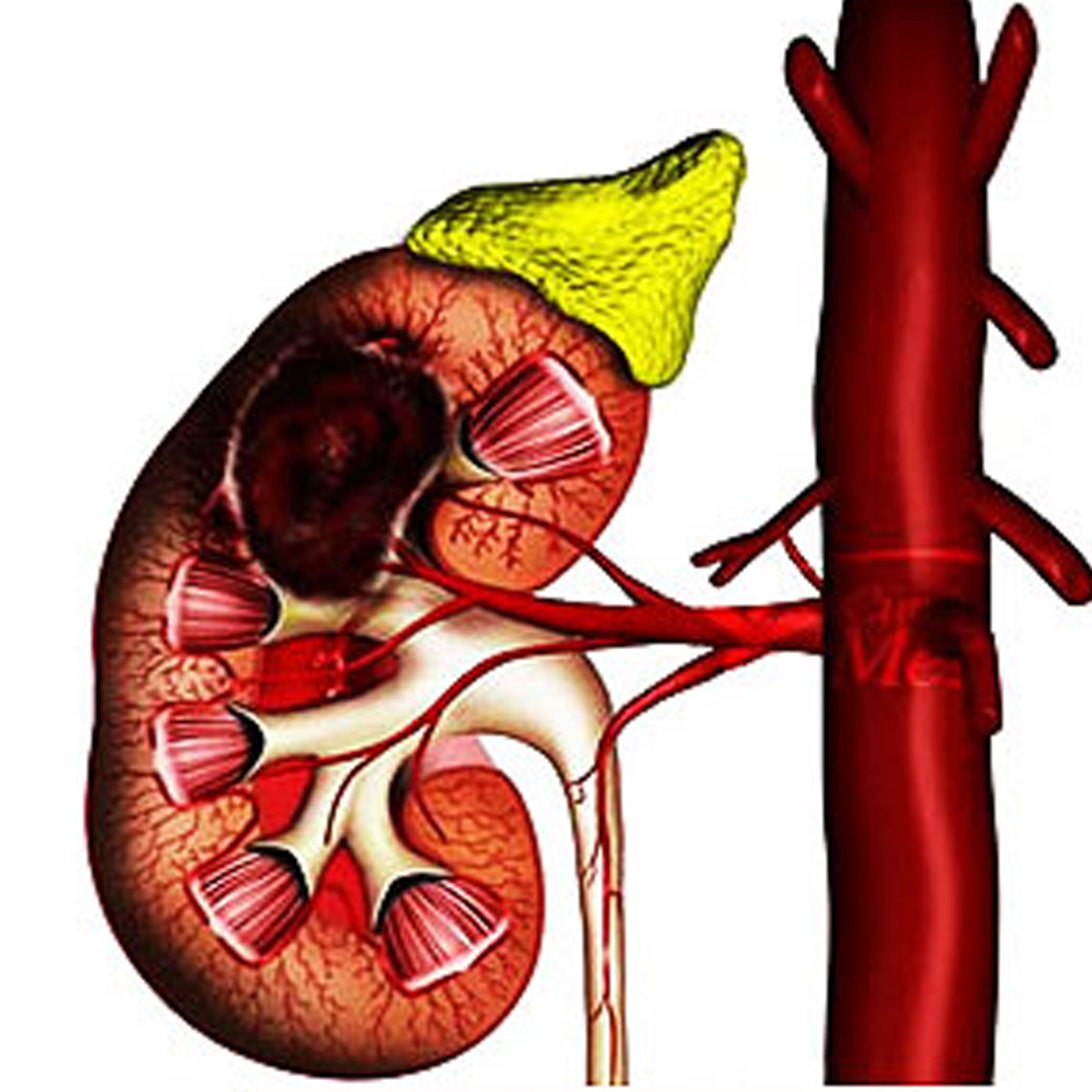 Houston Cancer Treatment Centers