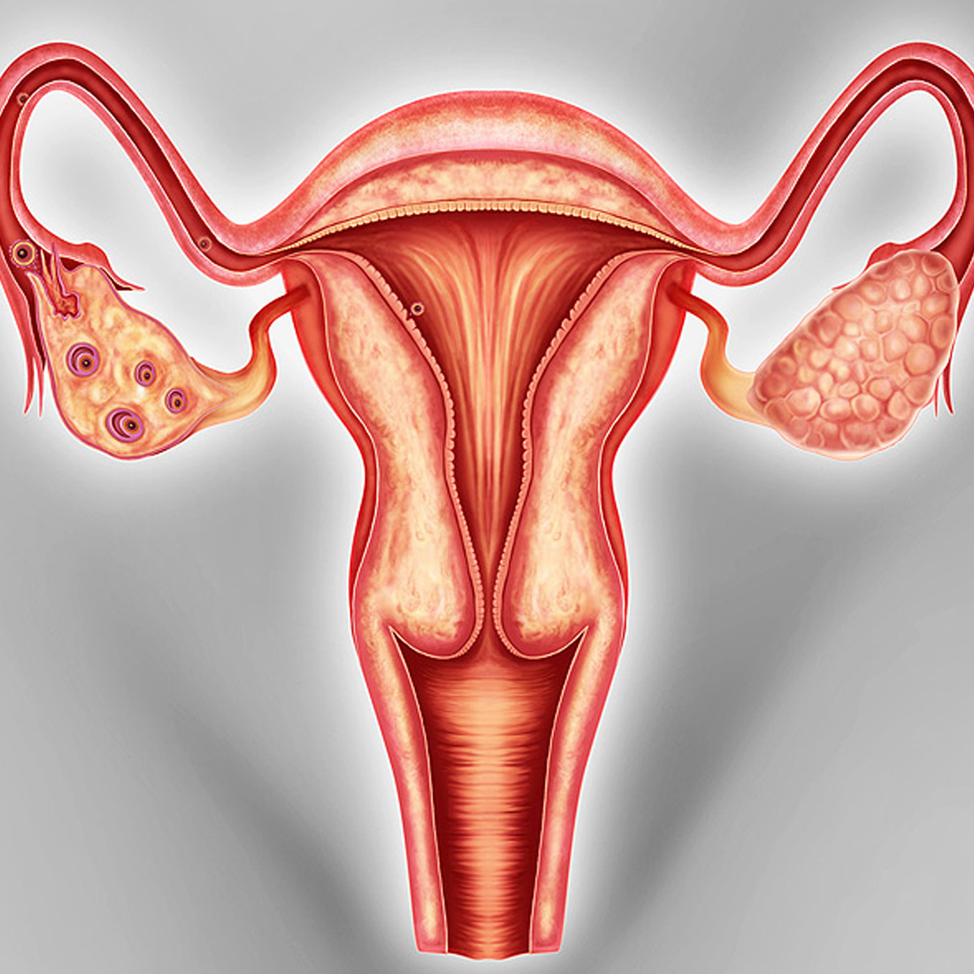 Houston Cancer Treatment Centers